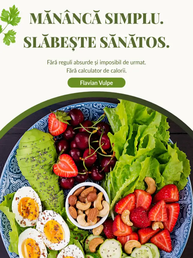 Ghidul Profesionistului Ocupat pentru Sănătatea Durabilă - Ebook Cover